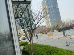 -河北省园博园