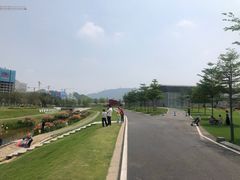 -光明小镇欢乐田园