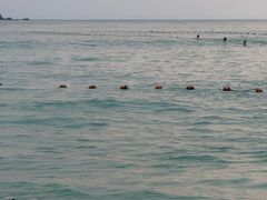 -西涌国际滨海旅游区