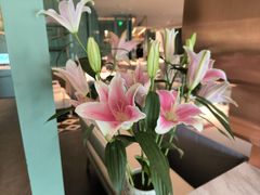 -南堂馆·新川菜(春熙路店)