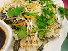 凉拌鱼皮-轩记海鲜餐厅·四十五年老字号·经典粤菜(西区彩虹店)