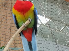 -南宫五洲植物乐园