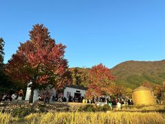 -塔川景区