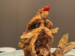 糖醋黄河鲤鱼-梅飞酒家(名辉豪庭店)