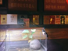 -民谣未来吧