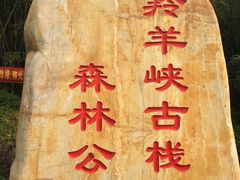 -羚羊峡古栈道森林公园