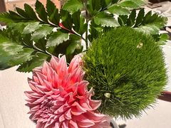 -许家菜(DT51店)
