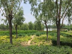 -骏途旅游