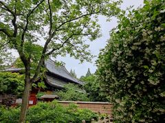 -龙华寺