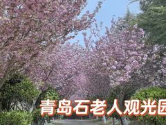 -石老人观光园