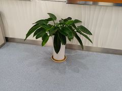 -圣贝口腔(海淀店)