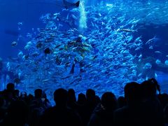 -波塞冬海底世界