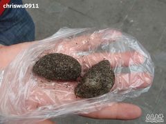 麻糍-叶氏麻糍(鼓浪屿店)