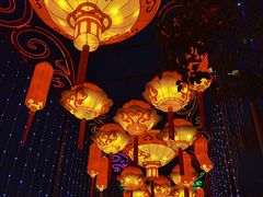 -武汉园博园(武汉自然博物馆)