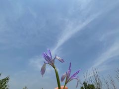 -白水寺森林公园