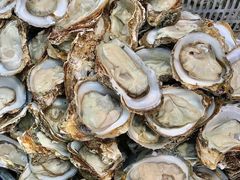 -蚝抵食·湛江生蚝(湾北路店)