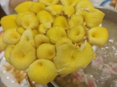-朴小妹人参鸡汤火锅(长白山万达店)
