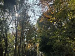 -杭州半山国家森林公园