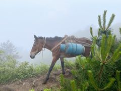 -萍乡武功山风景名胜区