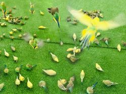 -萌宠亲子动物乐园(槐房万达店)