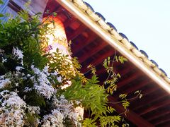 -紫阳古街
