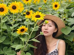 -上海东方艺术中心