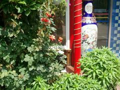 -龙福源密云水库灶台鱼