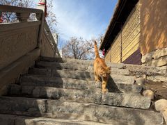 -终南山南五台景区