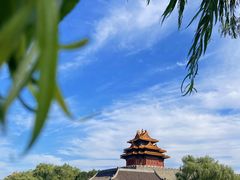 -故宫博物院(故宫)