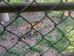 -哈尔滨北方森林动物园