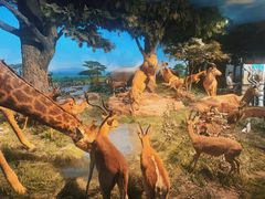 -国家自然博物馆