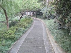 -荆川公园