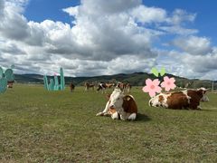 -乌兰布统草原
