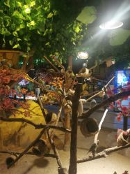 -酷嗒动物文化乐园(cutezoo西溪乐天城店)