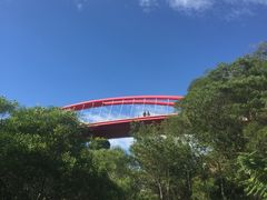 -金鸡山公园