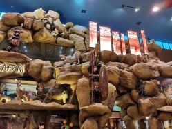 -卡通尼·Safari非洲探索乐园·生日会(金桥国际商业广场店)