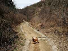 -蟠龙山长城景区