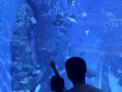 -成都浩海立方海洋公园