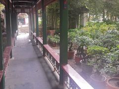 -新川办餐厅