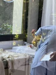 点击看大图 -尚圣月子会所·庄园式月子中心(萧山湘湖店)