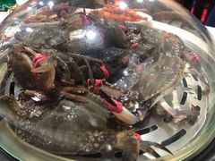 -同道蒸汽海鲜烧烤自助(刘庄夜市店)