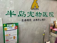 -半岛宠物医院24小时(科华中路店)