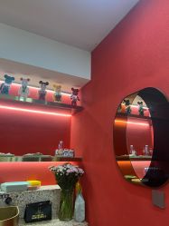 -IP SALON