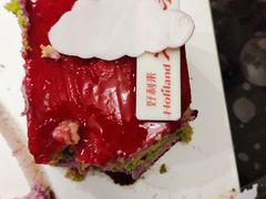 -蒲公英(五里店)