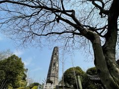 -上海佘山国家森林公园天马山园