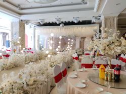 -迎宾一号酒店·宴会厅