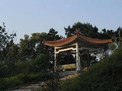 -风云岭森林公园