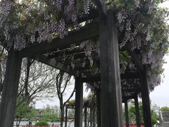 -上海鲜花港