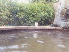 -徂徕山森林康养度假谷温泉