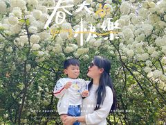 -铁山坪森林公园